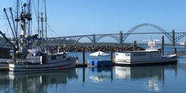 Newport Harbor sunny